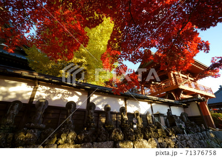 真っ赤に紅葉する一行寺楓の秋 -長野県、茅野市、長円寺 真っ赤に紅葉する一行寺楓の秋 -長野県、茅野市、長円寺 71376758