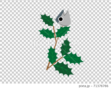 Sardine head setsubun decoration on a sardine branch 71376766
