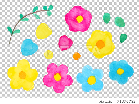 お花 71376782