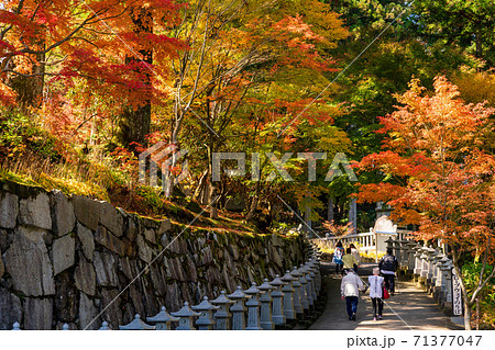 秋の雲辺寺 71377047