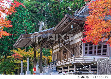 秋の雲辺寺 71377049