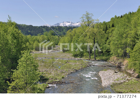 石狩岳とユニイシカリ川（北海道・上川町） 71377274