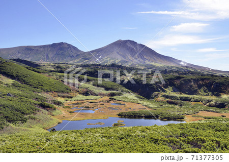 秋の沼と旭岳(北海道・大雪山) 秋の沼と旭岳(北海道・大雪山) 71377305