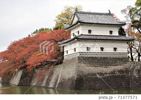 新潟県　新発田城　秋 71377571