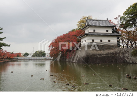 新潟県 新発田城 秋 新潟県 新発田城 秋 71377572
