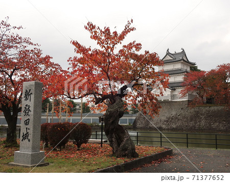 新潟県 新発田城 秋 新潟県 新発田城 秋 71377652