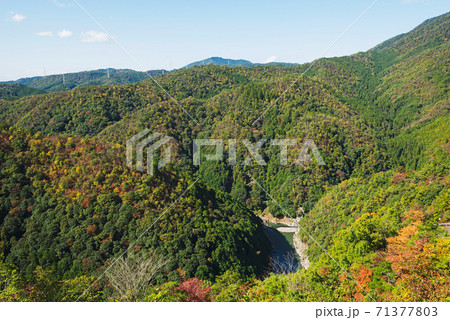 嵐山高雄パークウェイからの景色 嵐山高雄パークウェイからの景色 71377803