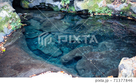 鏡のように透き通った「お鬢水」の湧水池が神秘的！（白糸の滝） 71377846