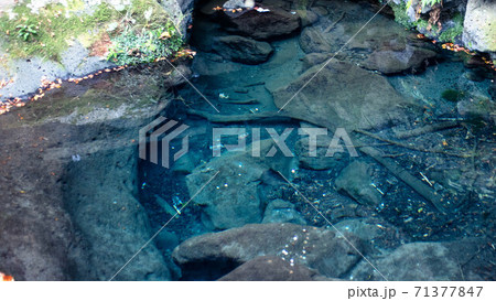 鏡のように透き通った「お鬢水」の湧水池が神秘的！（白糸の滝） 71377847