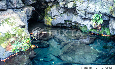 鏡のように透き通った「お鬢水」の湧水池が神秘的!(白糸の滝) 鏡のように透き通った「お鬢水」の湧水池が神秘的!(白糸の滝) 71377848