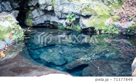鏡のように透き通った「お鬢水」の湧水池が神秘的!(白糸の滝) 鏡のように透き通った「お鬢水」の湧水池が神秘的!(白糸の滝) 71377849