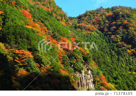 名張の香落渓の紅葉 71378105