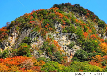 名張の香落渓の紅葉の写真素材