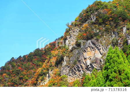 名張の香落渓の紅葉 71378316