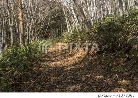 登山道 登山道 71378363