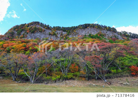 曽爾村の屏風岩公苑の紅葉 71378416