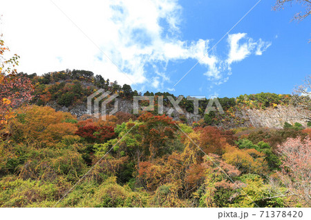 曽爾村の屏風岩公苑の紅葉 71378420