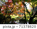 熊本県阿蘇市の紅葉 71378620