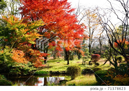 熊本県阿蘇市の紅葉 71378623