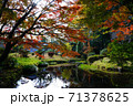 熊本県阿蘇市の紅葉 71378625