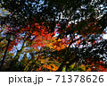 熊本県阿蘇市の紅葉 71378626