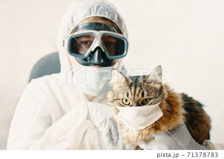 Man in suit and cat in a medical mask 71378783
