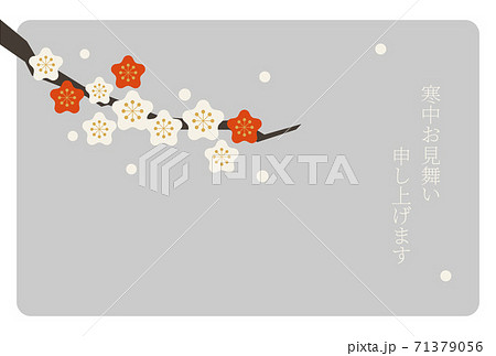 寒中お見舞いテンプレート　梅 71379056