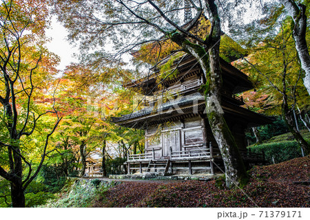 高源寺 兵庫県 丹波市 紅葉 多宝塔 高源寺 兵庫県 丹波市 紅葉 多宝塔 71379171