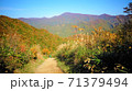 枝折峠　紅葉 71379494