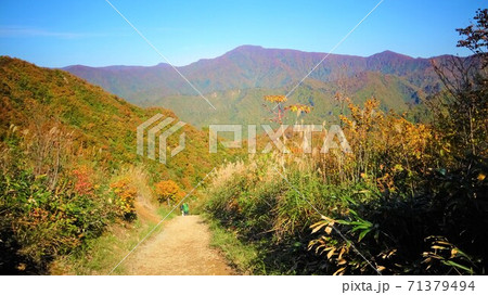 枝折峠 紅葉 枝折峠 紅葉 71379494