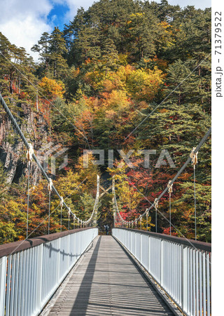 紅葉に彩られる川俣ダム・瀬戸合峡（渡らっしゃい吊橋） 71379522