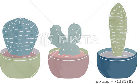 多肉植物 ガーデニング 色付きのイラスト素材