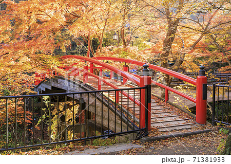 伊香保温泉 河鹿橋 紅葉の写真素材