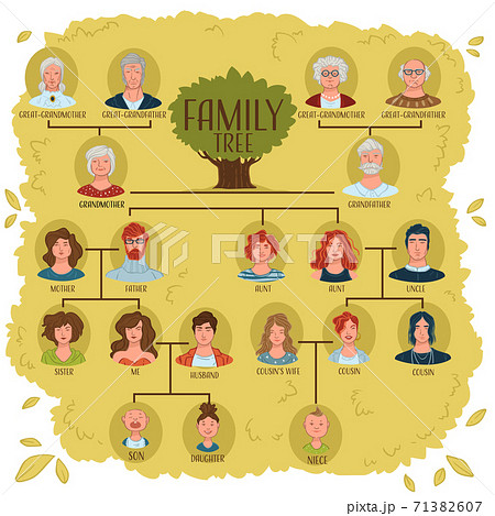 Family tree with relatives and relationship vectorのイラスト素材 [71382607 ...