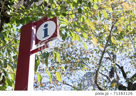 街中にある「i」マーク(エリアマップ) 街中にある「i」マーク(エリアマップ) 71383126