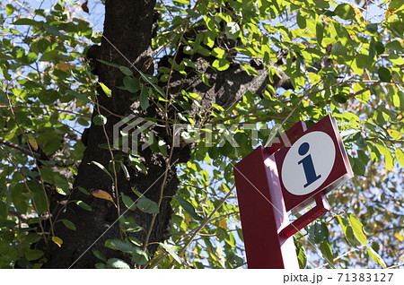 街中にある「i」マーク(エリアマップ) 街中にある「i」マーク(エリアマップ) 71383127