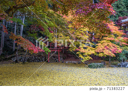 洞光寺 兵庫県 丹波篠山市 紅葉 秋イメージの写真素材