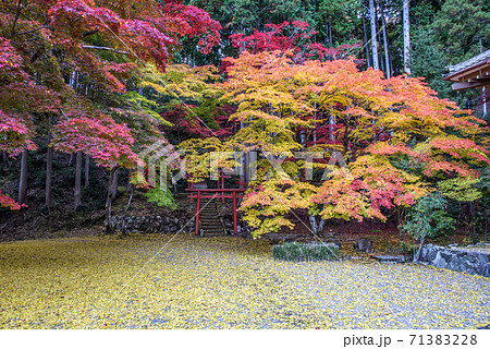 洞光寺 兵庫県 丹波篠山市 紅葉 秋イメージの写真素材