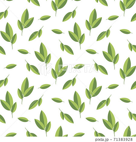 お茶の葉のシームレスパターン ランダムのイラスト素材