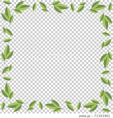 お茶の葉のフレーム 正方形のイラスト素材