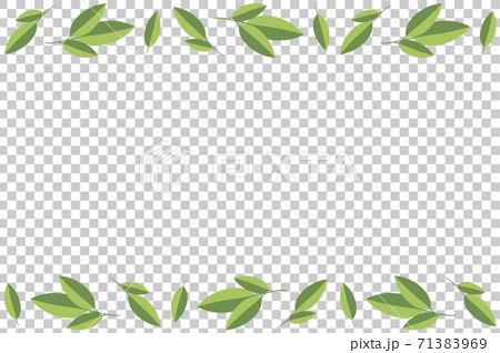 お茶の葉のフレーム 長方形のイラスト素材
