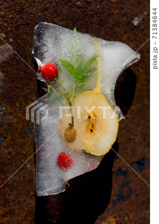Background fresh season small pear, green coffee beans, red berry in broken piece of ice Background fresh season small pear, green coffee beans, red berry in broken piece of ice 71384644