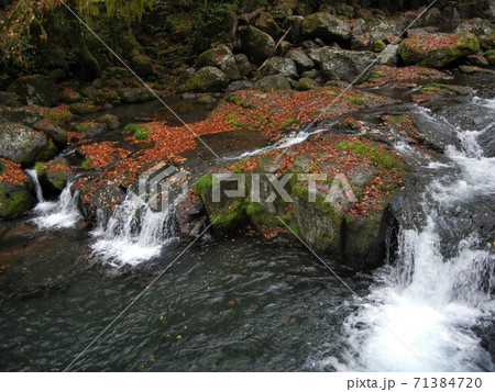 日本の川景色:熊本県の菊地渓谷の菊地川と紅葉 日本の川景色:熊本県の菊地渓谷の菊地川と紅葉 71384720