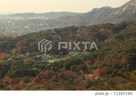 秋 紅葉 山 71385580