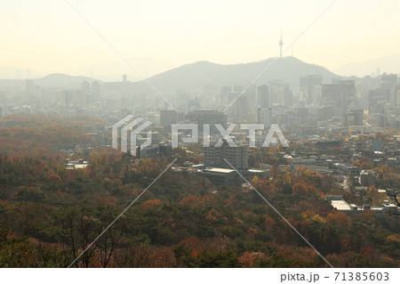 秋 紅葉 都市 71385603