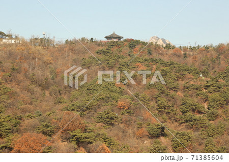 秋 紅葉 山 71385604