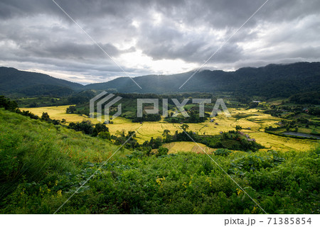 The beautiful scenery of the golden terraced rice field in Khun Pae, Chiang Mai, Thailand. The beautiful scenery of the golden terraced rice field in Khun Pae, Chiang Mai, Thailand. 71385854