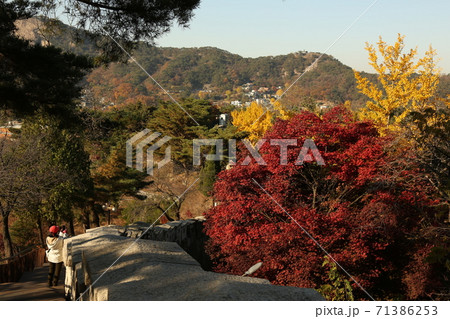 時価 韓国 秋 71386253