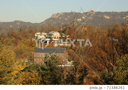 時価 韓国 秋 71386261