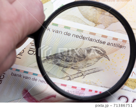 Netherlands Antilles Gulden in a magnifying glass 71386751